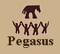 http://www.pegasus.org.pl
