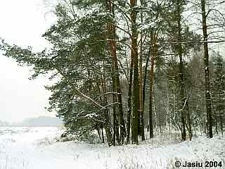Zima w okolicach Zawadzkiego.